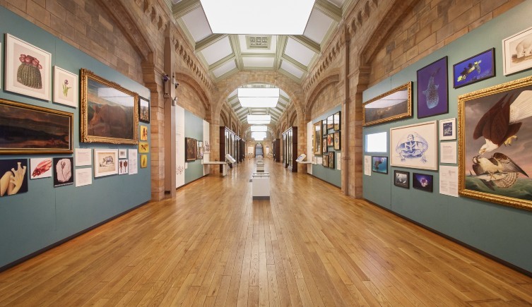 NHM Learning tweet media