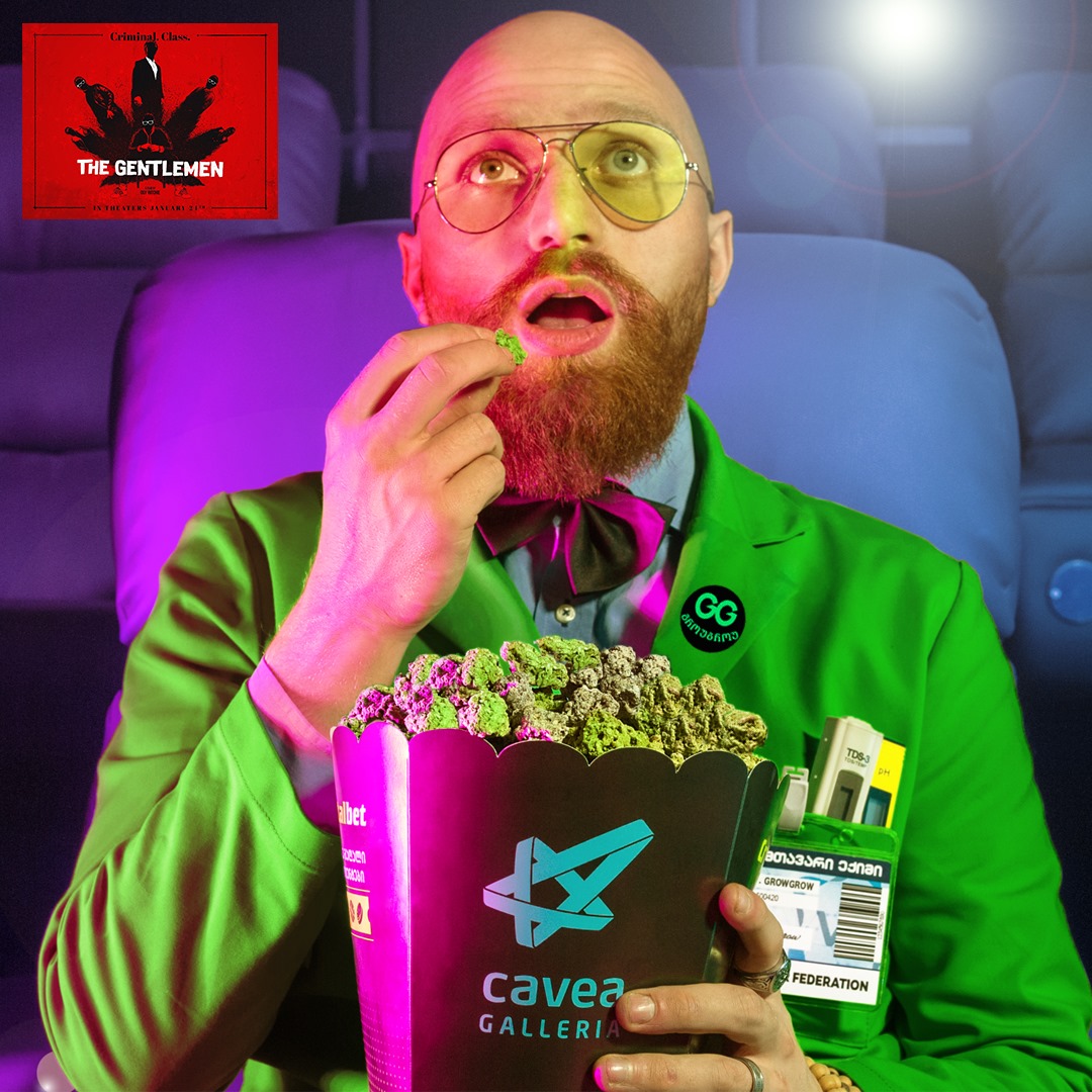 thegrowgrow's tweet photo. https://t.co/IUQPqZPzKr