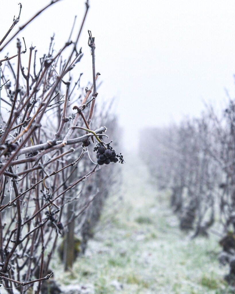 Where is hope is a path! instagr.am/p/Cnw-A3JO_o4/