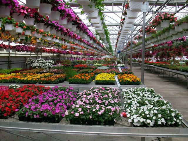 صناع الجمال!🌳🎋

خالك في البيت و نوصلك جميع أنواع الزهور والأشجار إلين عندك"مجانآ" 

امنحنا ثقتك ولا تتردد في التواصل معنا
0563731399
#وزاره_التعليم