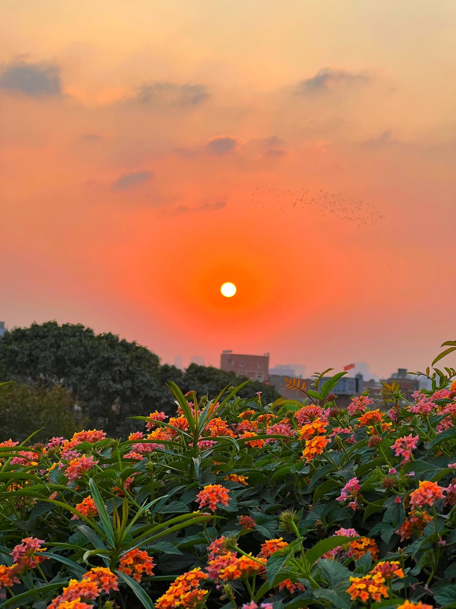 Mantapbae_'s tweet photo. @radenrauf Sore ini bgttt, sunset di cairo emang gaada tanding:( https://t.co/rDqe3CdoqU