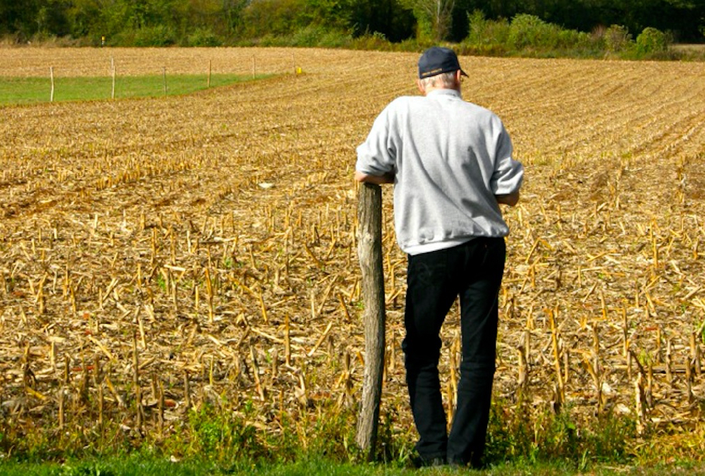 CntryGuide's tweet photo. Our most-read story over the weekend: Do you have an exit strategy for your farm? https://t.co/B1jLjRlSlW https://t.co/zj3fNrhNYq