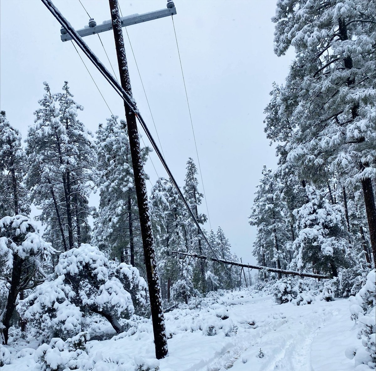 apsFYI's tweet photo. Winter storms may cause downed power lines. If you see a downed power line or exposed equipment, stay at least 100 feet away and call 911 then call us. Always assume the line is energized. Learn more about how to be safe around energy: https://t.co/xVXvsftN8j https://t.co/cvwS3INAWP