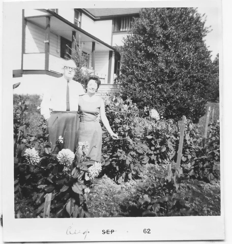 For #MuseumMonday this week, we've found a photo of the Haney House garden when it was still a personal residence! Here's Peter and Mary Isaac, standing proudly among their beautiful flowers in bloom!
(P08894)
#MapleRidgeMuseum #MRMuseum #MRM #PortHaney #MapleRidge #MapleRidgeBC
