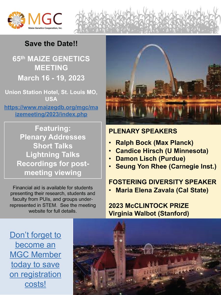 MaizeGDB tweet media