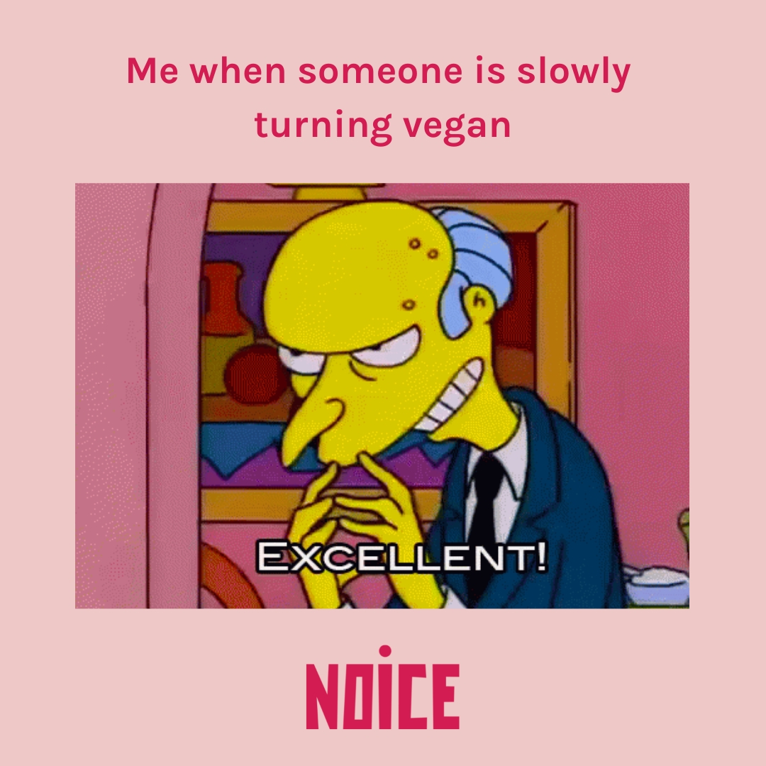 NOICE Botanical Toothpaste tweet media