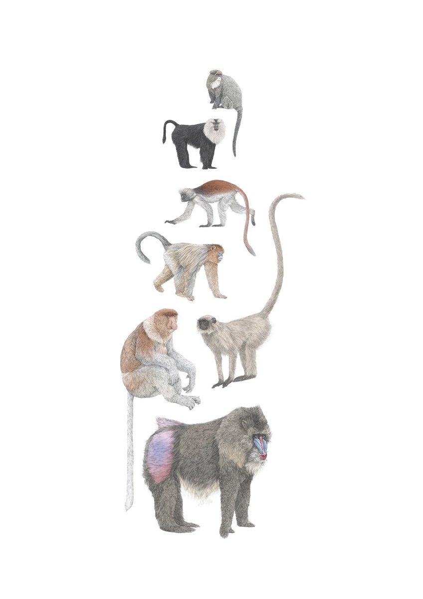 Lauren Fitton tweet media