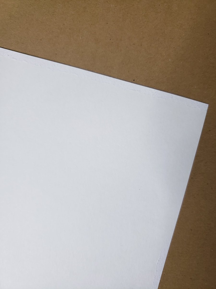 Lauren Fitton tweet media