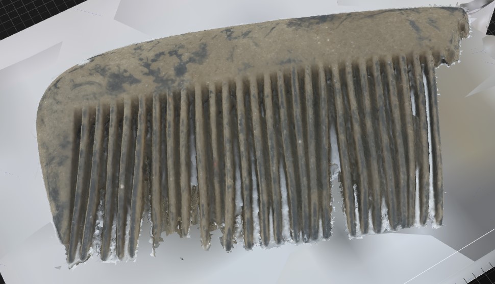 Emily Nisch tweet media