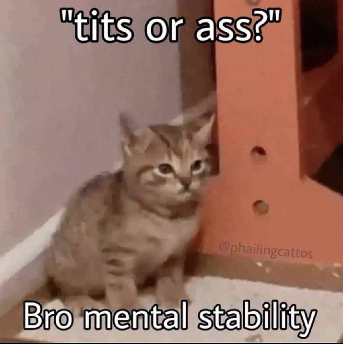 literallymecats's tweet photo. https://t.co/6S86ZOhrxw