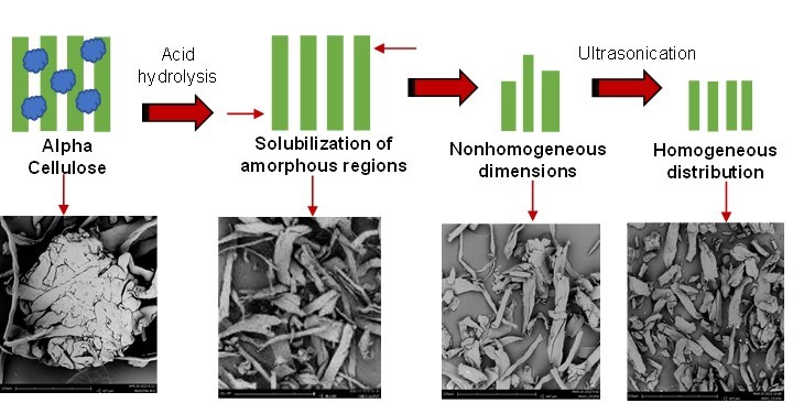 #Research on #Microcrystalline #cellulose isolation – Proposed #mechanism: Enhanced #coupling.

bioresources.cnr.ncsu.edu/resources/micr…

#BioResJournal #openaccess #biopolymer #surfacemodification #hydrolysis #renewablematerial #thermoplastics