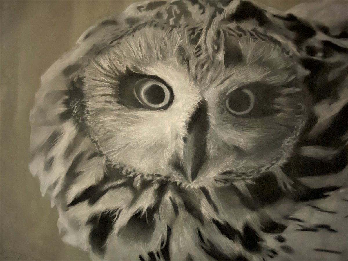 AKellerRCK's tweet photo. 10th Grade Advanced Art I student creates a charcoal rendering of the local species "Short-Eared Owl," whose population is in a steep decline. #owl #art #charcoal #ketchamnation #highschool https://t.co/cD6p7bt4mo