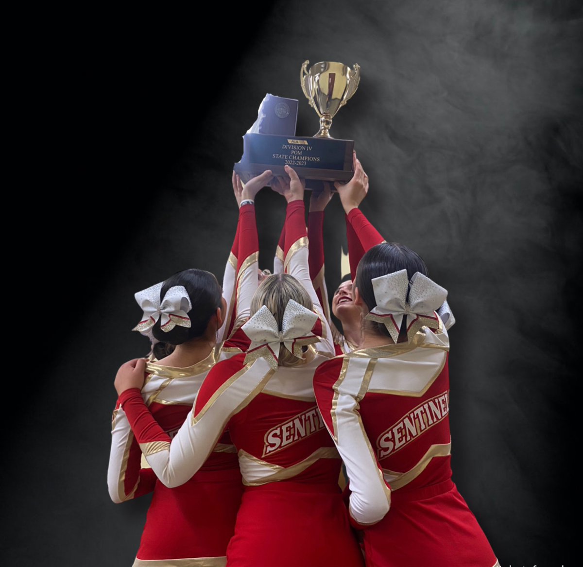 Another shoutout to our Sentinel Spiritline, who brought home Division IV State Titles in All Girls Stunt and Pom at the AIA State Competition this weekend! Congratulations, ladies! #SentinelFamily