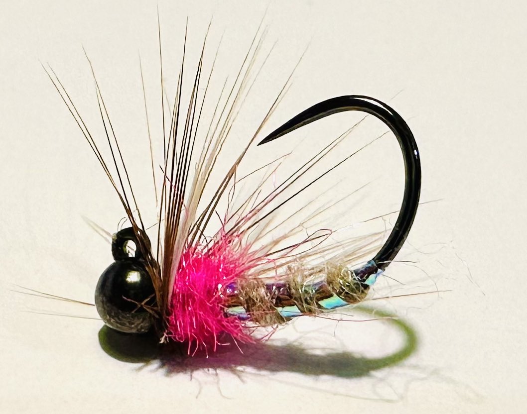 KingfisherGuide's tweet photo. Grayling candy 🍭 #graylingcandy #grayling #lovegrayling #graylingparade #graylingflyfishing #graylingflies #nymphs #nymphfishing #flyfishing #flies #flytting #flytyingporn #flytyingaddict #trout #troutflies #angling #fishing #riverfishing #nymphing https://t.co/bEXZkDYmeo