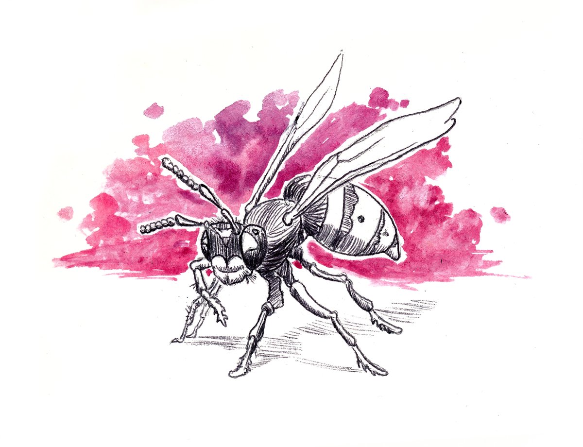Hyydraworks's tweet photo. Ratuary Day 24: Jovial

Penny is perhaps one of the most amiable wasps you will ever encounter.  She let’s life take her where it will, and highly enjoys the antics of her rat companion, who for the most part keeps Penny out of trouble. #ratuary  #wasp #ballpoint #watercolor https://t.co/PPmRKYQXsB