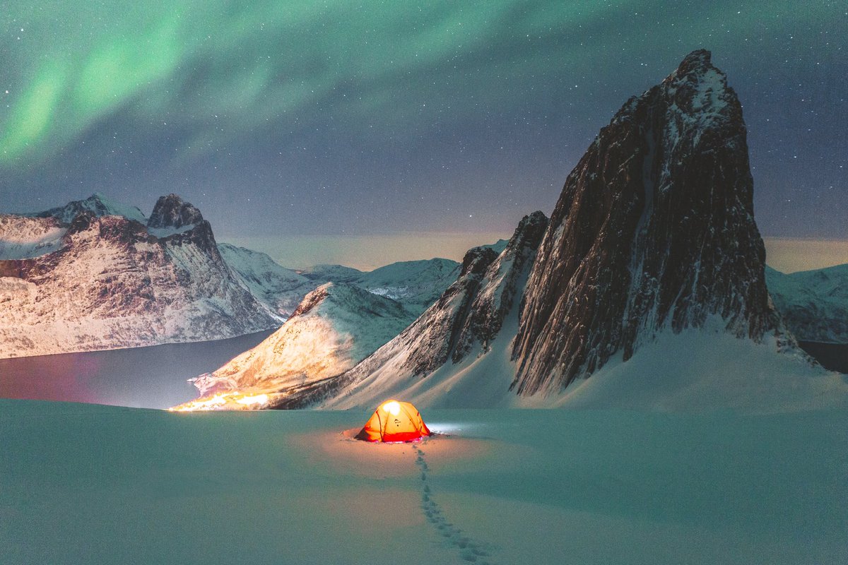 Elliot Hawkey tweet media