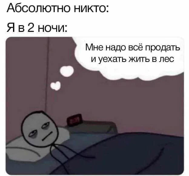 RussianMemesLtd's tweet photo. Absolutely no one:

Me at 2 am: 
I need to sell everything and go live in the woods https://t.co/BrzwPJP7Rk