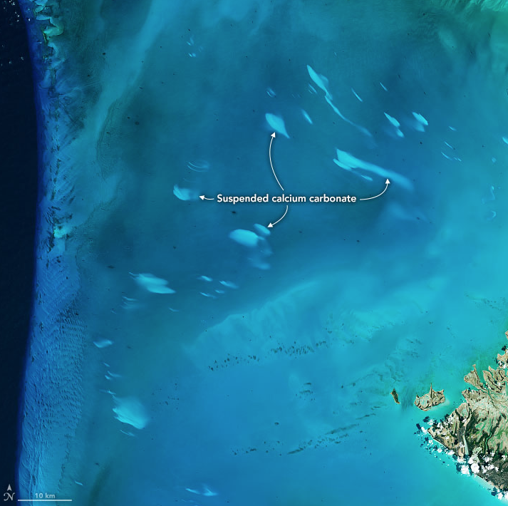 NASAEarth's tweet photo. Patches of suspended material sporadically appear in the Bahamas, and scientists don’t know why. 🧐 

Now, one team has compiled a detailed record of these events by analyzing thousands of images from @NASA’s Aqua satellite. https://t.co/iLTM8UFAfj https://t.co/Pih1BEq6y6
