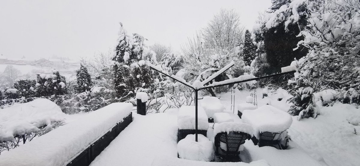 AndrejRudolfTlc's tweet photo. #finallywinter
#around
#mylittlecorner
#snowday
#inslovenia
#quietplace
🌨️🎿☃️🎶🌨️ https://t.co/qtCNJxxmot