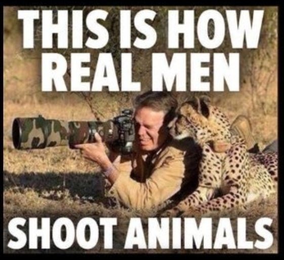 <a href="/angie_karan/">Angie KaranⓋ🌱</a>