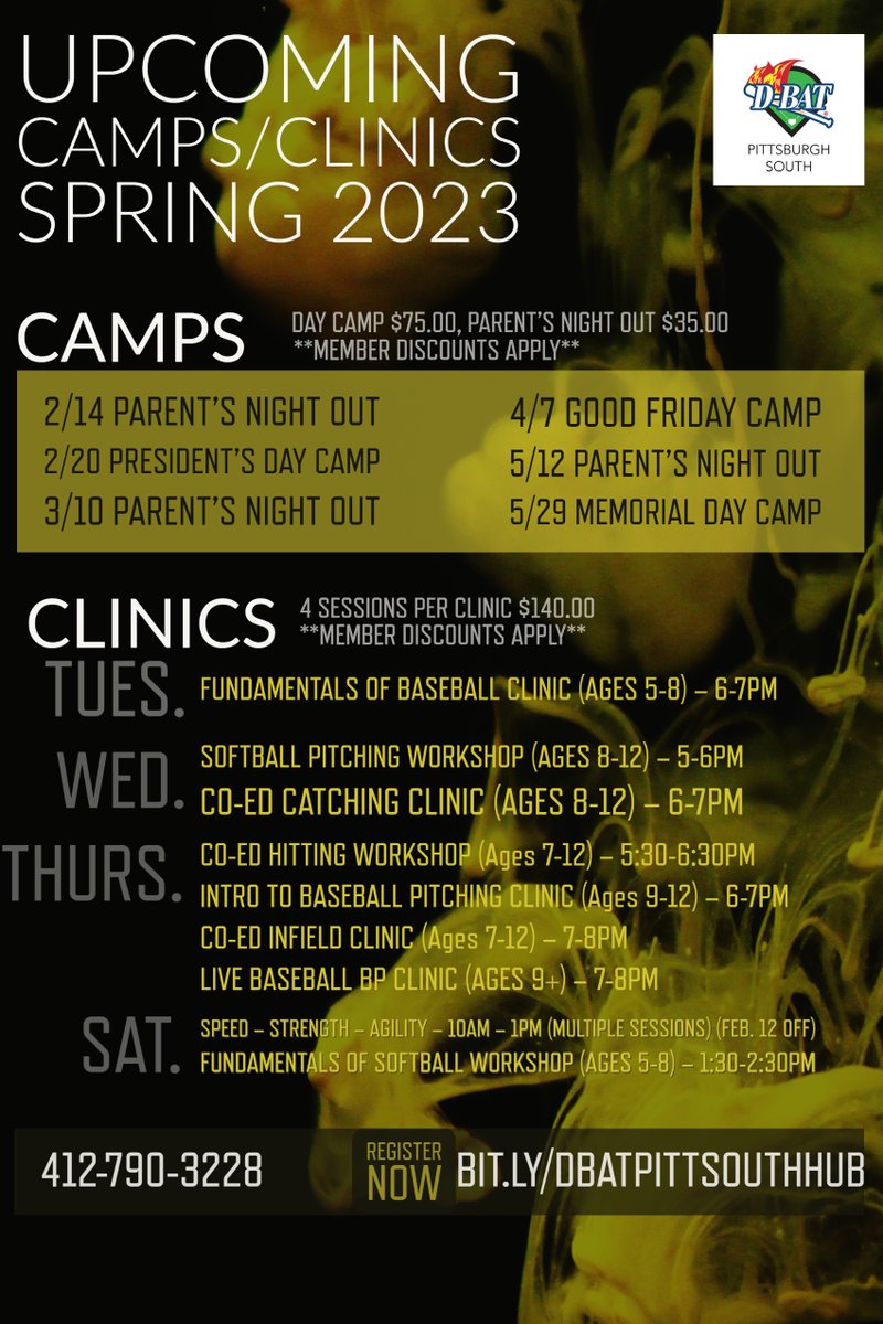 SPRING 2023 CAMPS AND CLINICS ARE NOW LIVE!🥎⚾️🔥

Register now!
bit.ly/DBATPITTSOUTHH…

#DBATPittsburghSouth #dbatsports #wearefamily