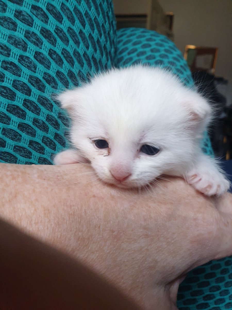 DJ Andr0m3da tweet media