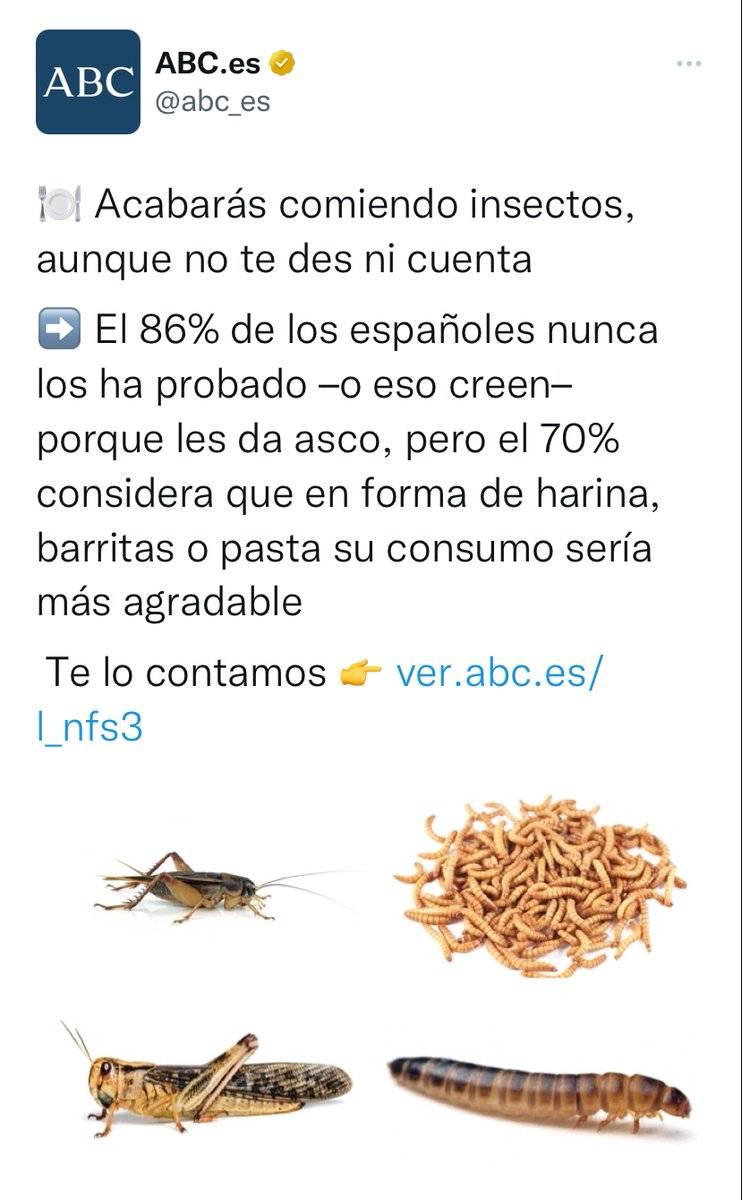 vox_es's tweet photo. ¿Por qué los medios del consenso se empeñan en normalizar la sustitución de la dieta mediterránea por la ingesta de insectos?

Porque la Agenda 2030 paga. https://t.co/6blcW5trIl