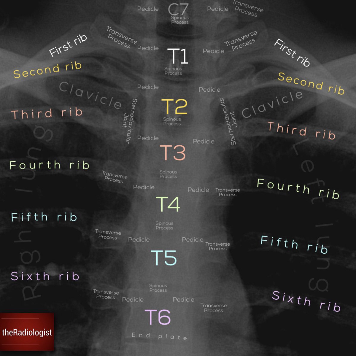 radiologistpage tweet picture