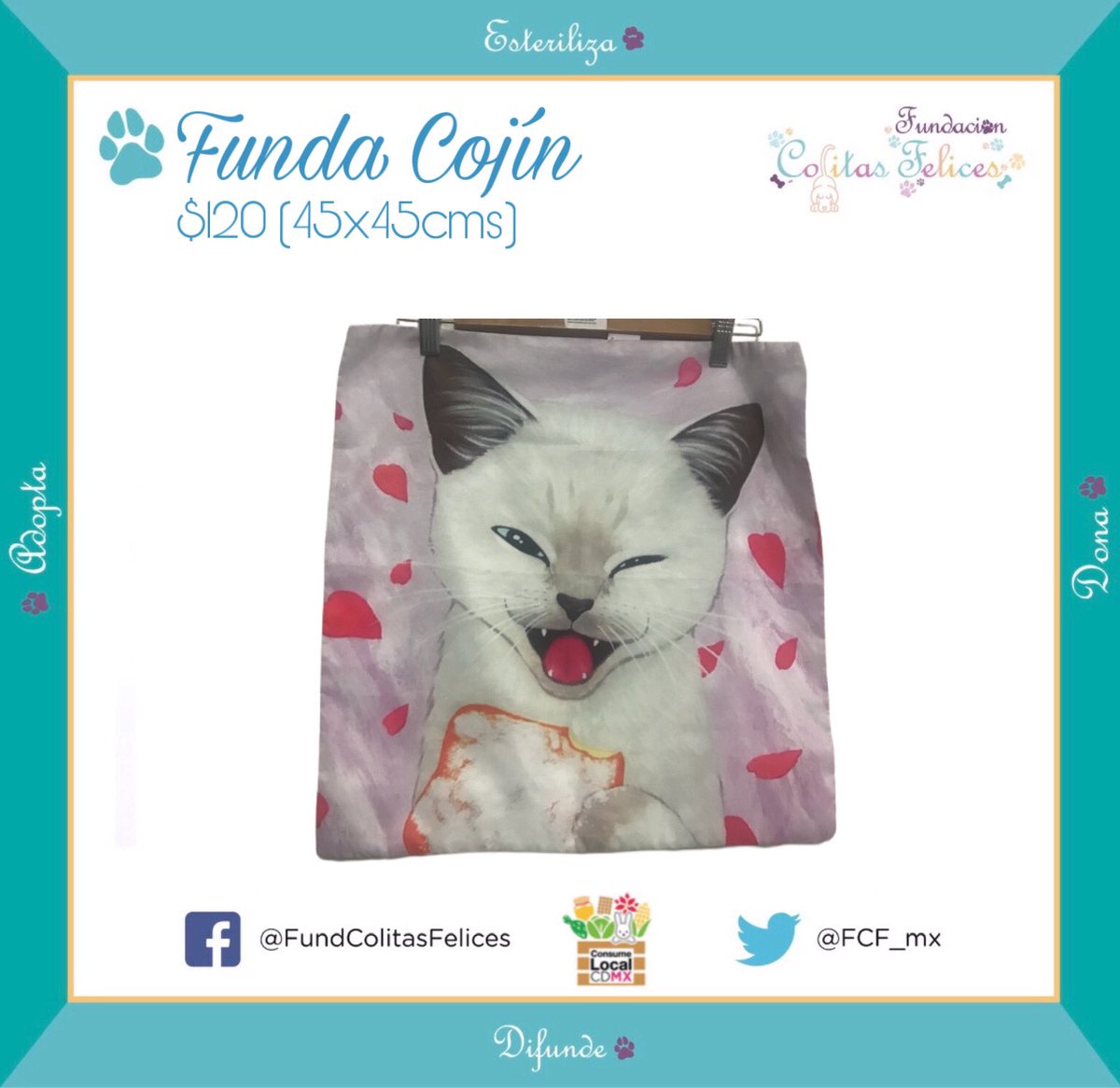 FundColitasFelices tweet media