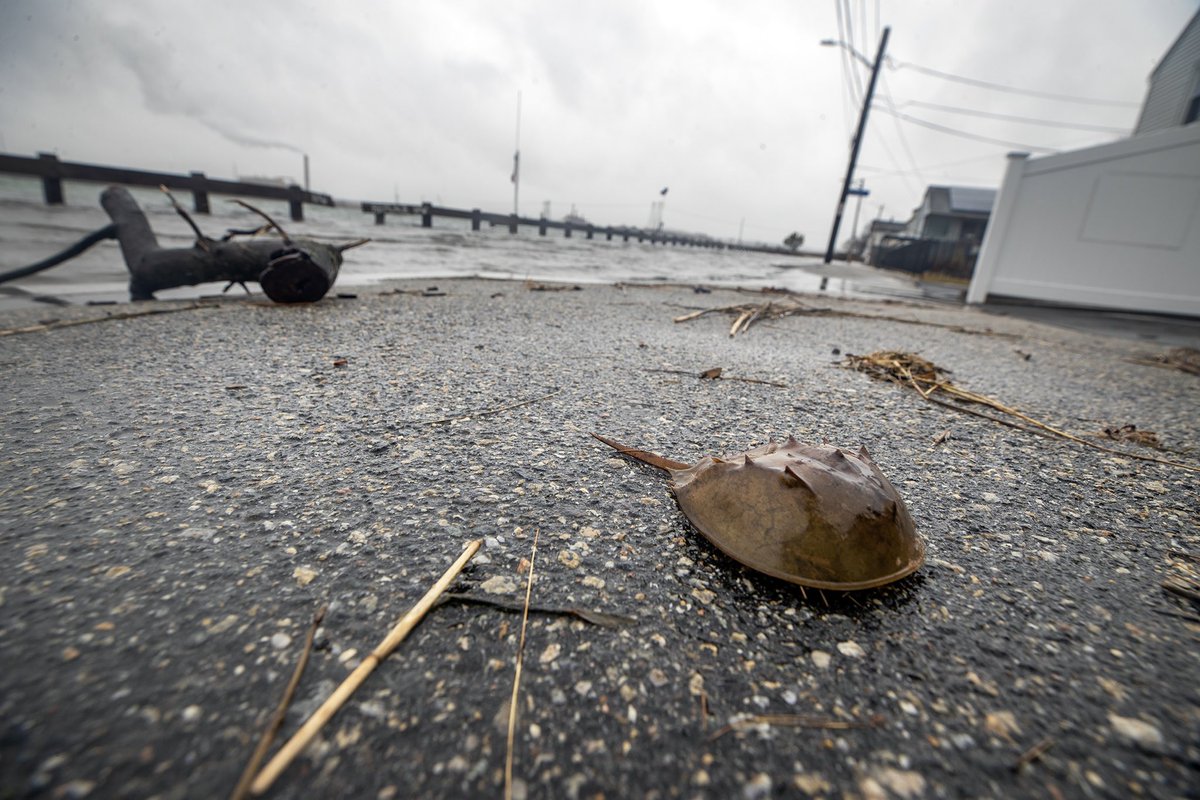 NBC10 Boston on Twitter "Many sections of the Boston area are