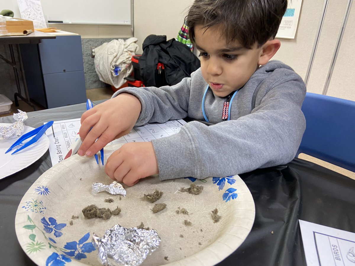 DK Ss loved our outdoor classroom this morning learning about predators &amp; prey as well as camouflage too! <a href="/johnsonnatureMI/">Johnson Nature Center</a> <a href="/bhschools/">BHSchools</a> <a href="/LonePineSchool/">Lone Pine Elementary</a> <a href="/MaryHillberry/">Mary Hillberry</a>