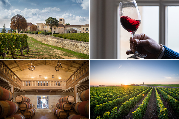 At the recent Southwold 2019 Bordeaux Tasting, one wine stood out as the value find of the event: Croix Canon St Emilion Grand Cru 2019. We (and the critics) can't recommend this ex-chateau gem highly enough; at £165/6 IB, it is an absolute bargain: goedhuis.com/products/2019-…