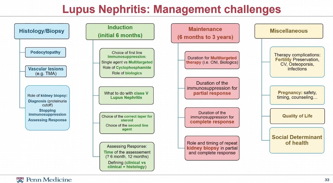 Amazing lecture by the director of our Glomerular Clinic Dr. Abdallah Geara to @PennKidney fellows on the pathophysiology and treatment of #LupusNephritis 🫘 #GlomerularDiseases #NephTwitter