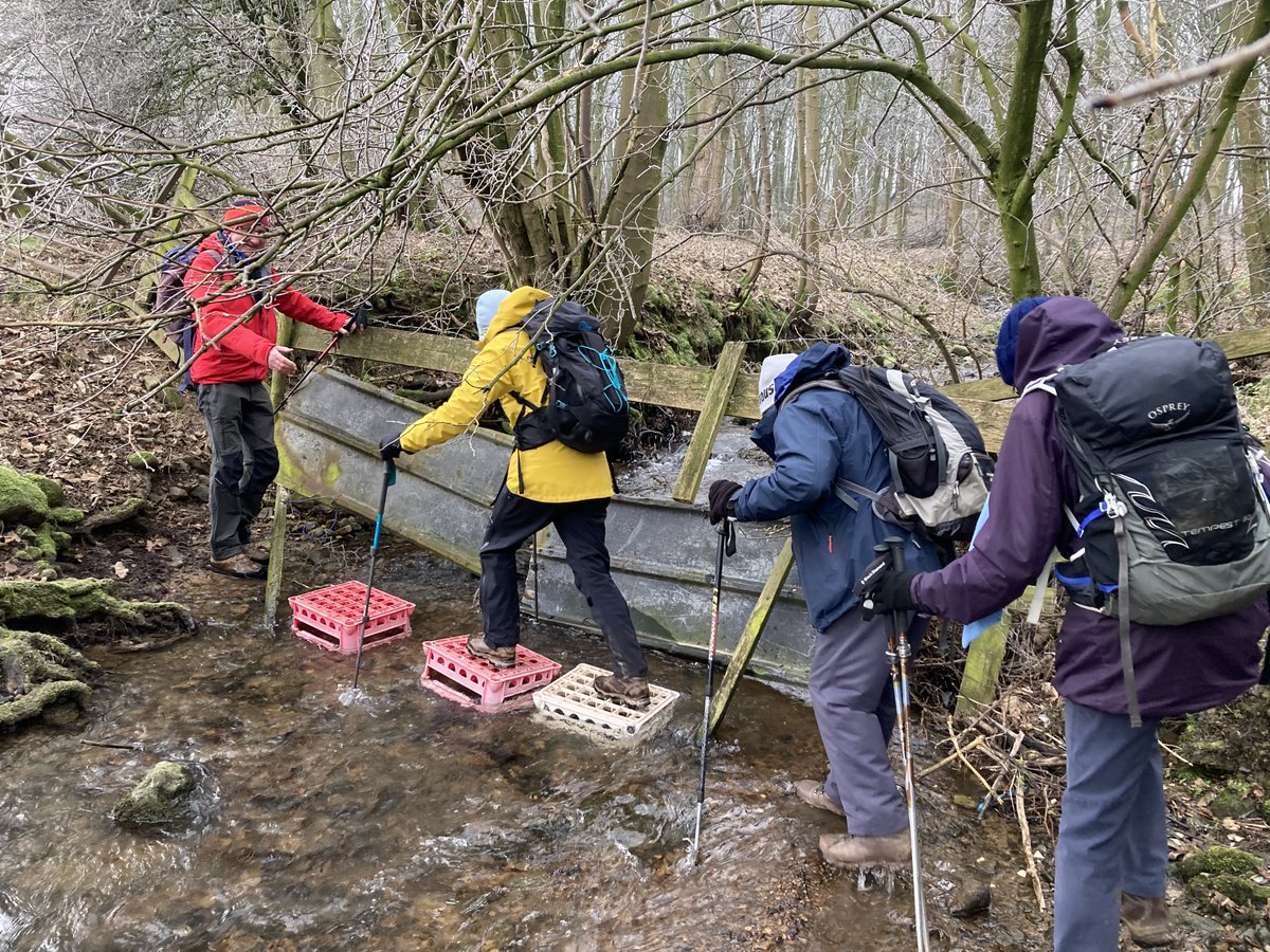 Bruce sets a new standard for walkleaders by constructing a bridge to save his party from getting their feet wet!