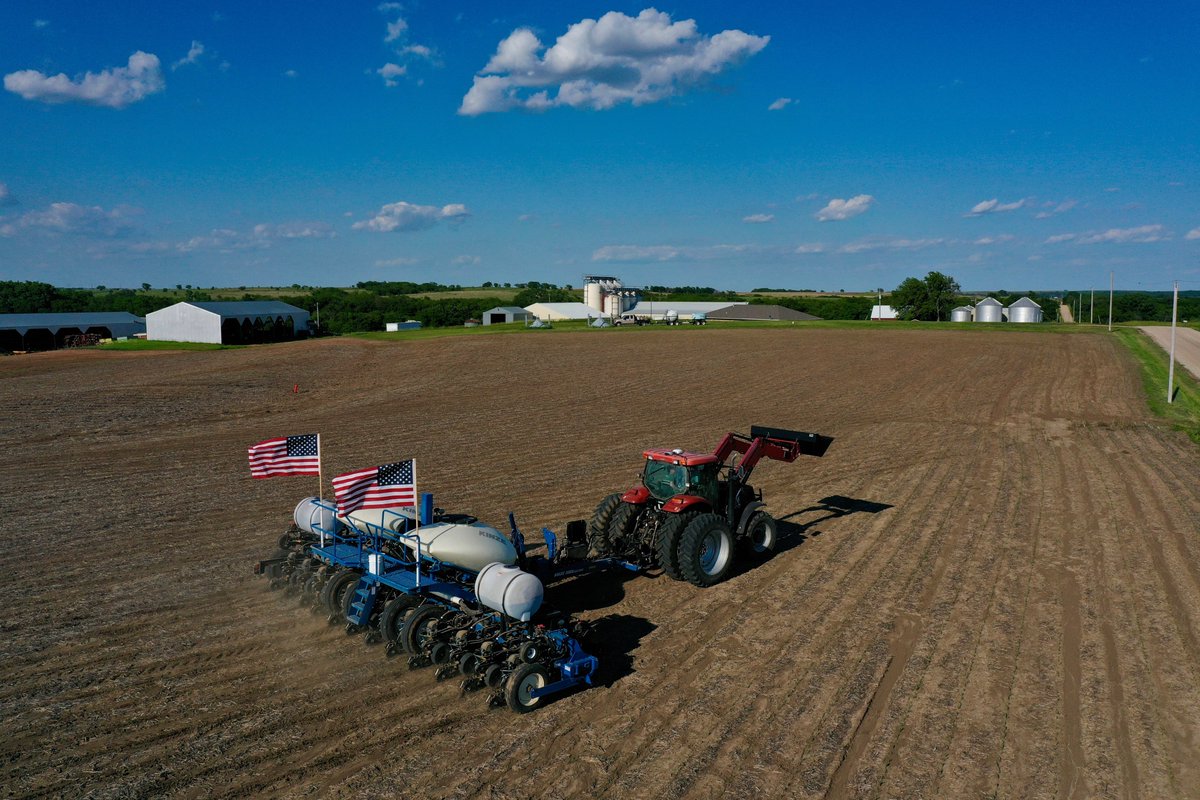 Kansas Soybean tweet media
