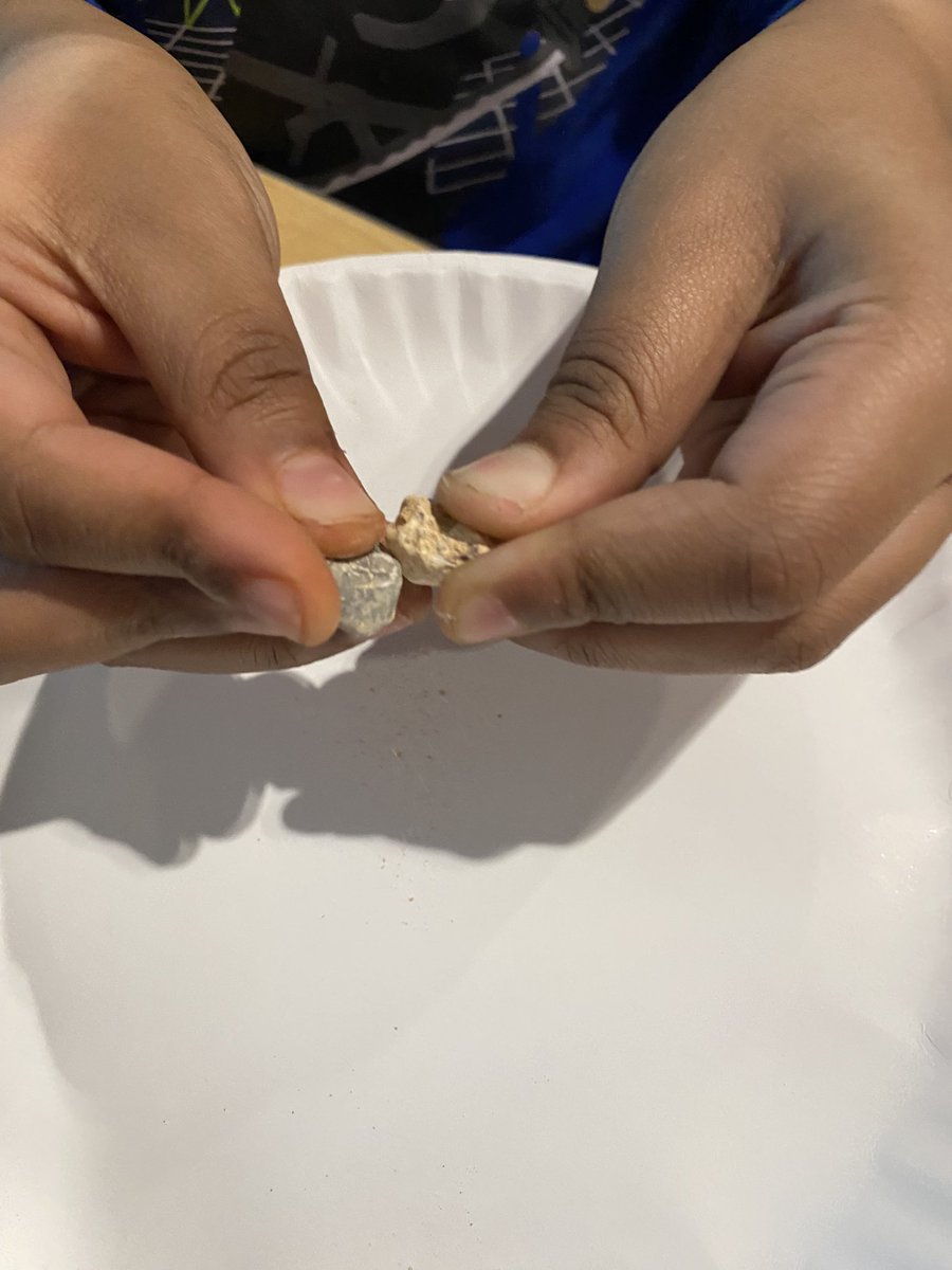 Dr. Weeks 2nd Grade tweet media