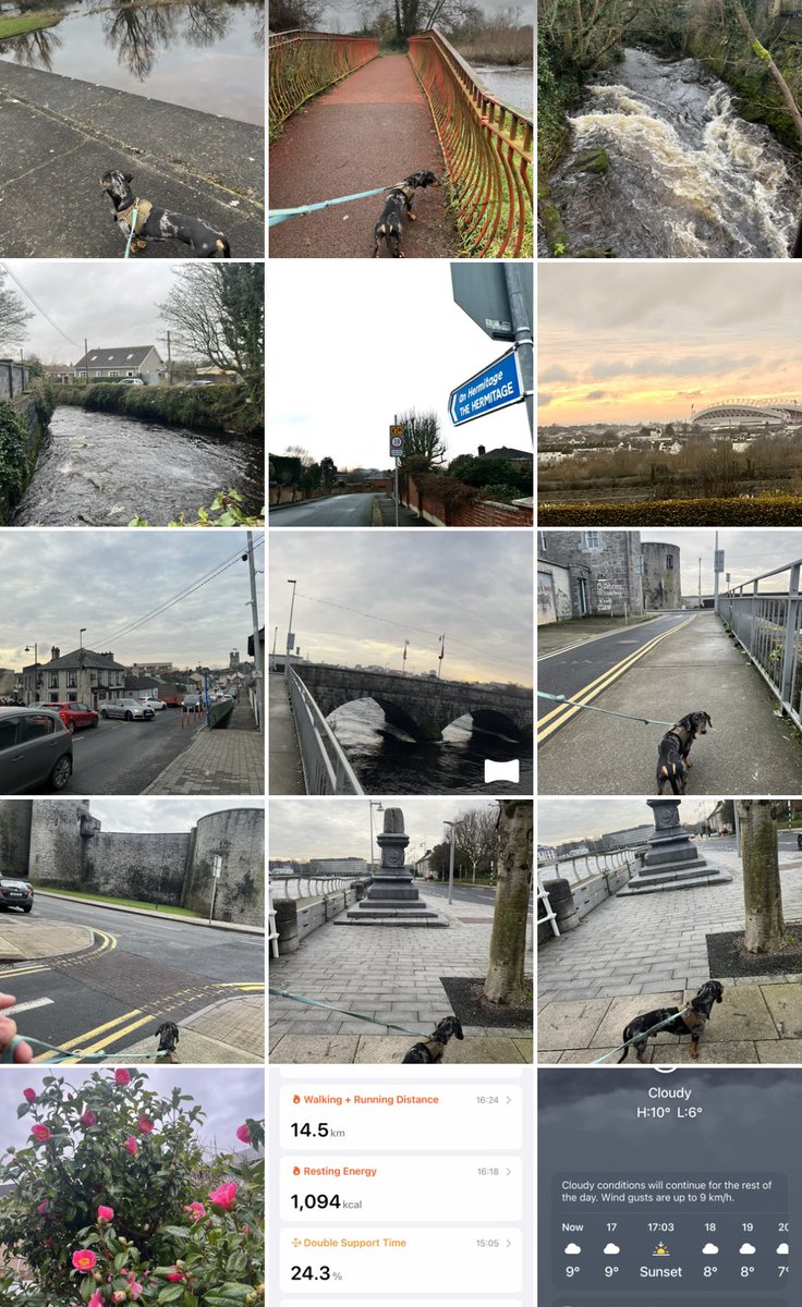 #100daysofwalking #limerick video @ 
instagram.com/reel/CnxZ-_xBP…
🎶#Music by <a href="/HermitageGreen/">Hermitage Green</a> #GoldenRule 🎶🎸🎤 #rivershannon #abbeyriver #limerickhistory <a href="/ULimsport/">UL Sport</a> 
limerick.ie/council/servic… #limerickedgeembrace