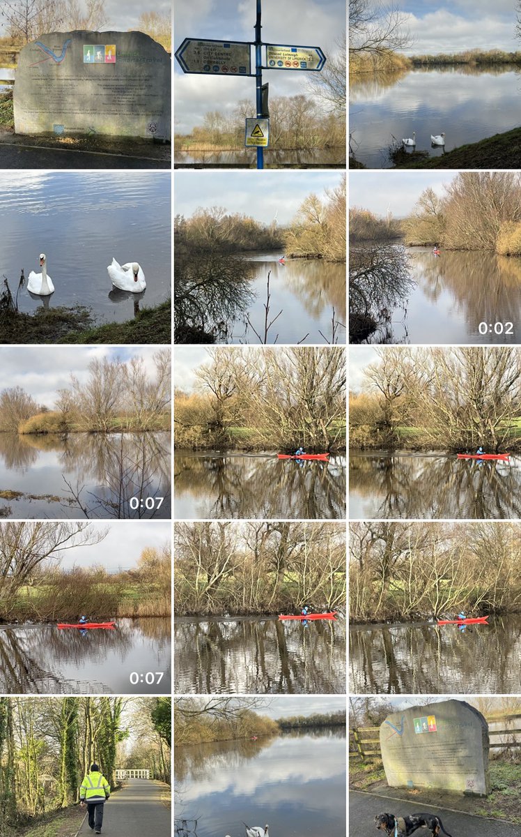 Limerick Ryan tweet media