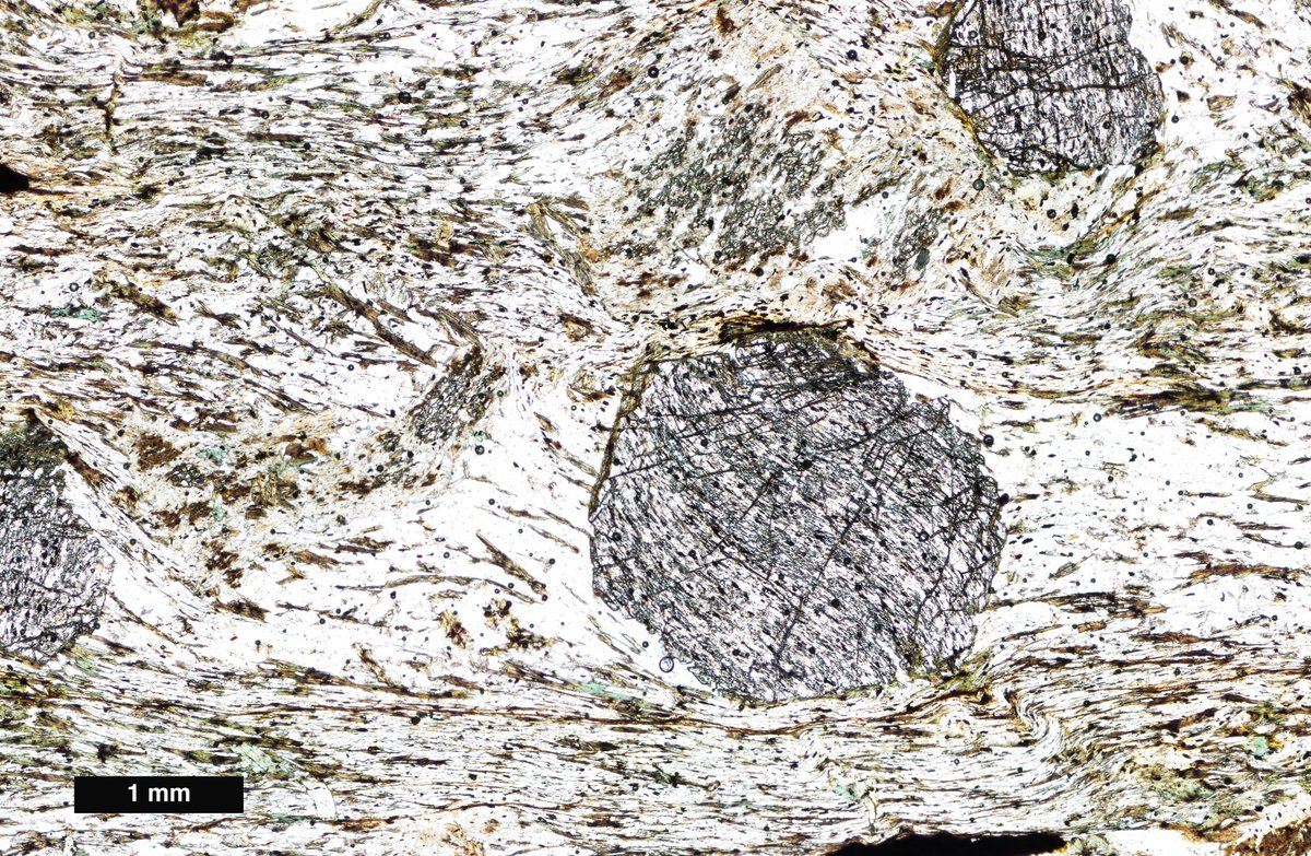 UNL Geology tweet media
