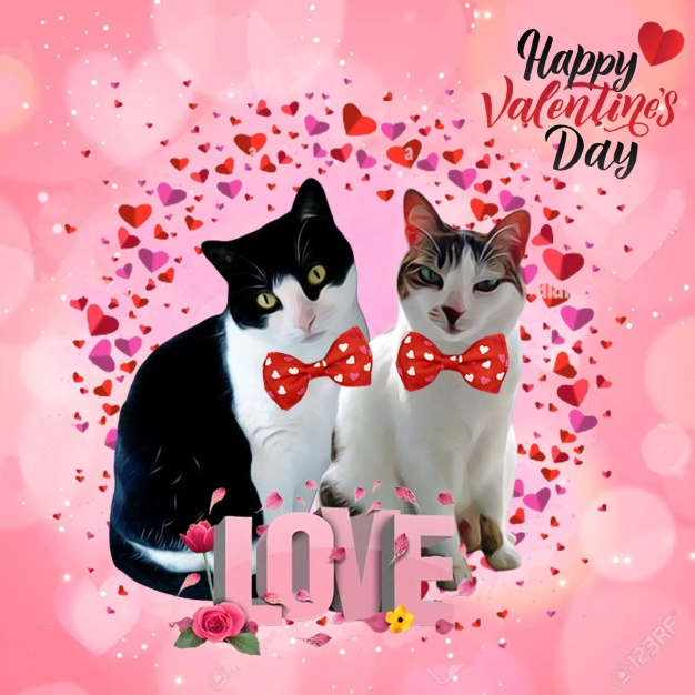 Illustrations28's tweet photo. Valentine's illustration ❤️❤️

Send me a DM to place your order 💌

#illustrationsforpets #valentineday #valentine  #dogsedits #catillustration #dogillustration #petillustrations #valentines #illustration #doglovers #catlovers #petedit #cat #petsedits #photoshop #petillustration https://t.co/ohkOS82eCb