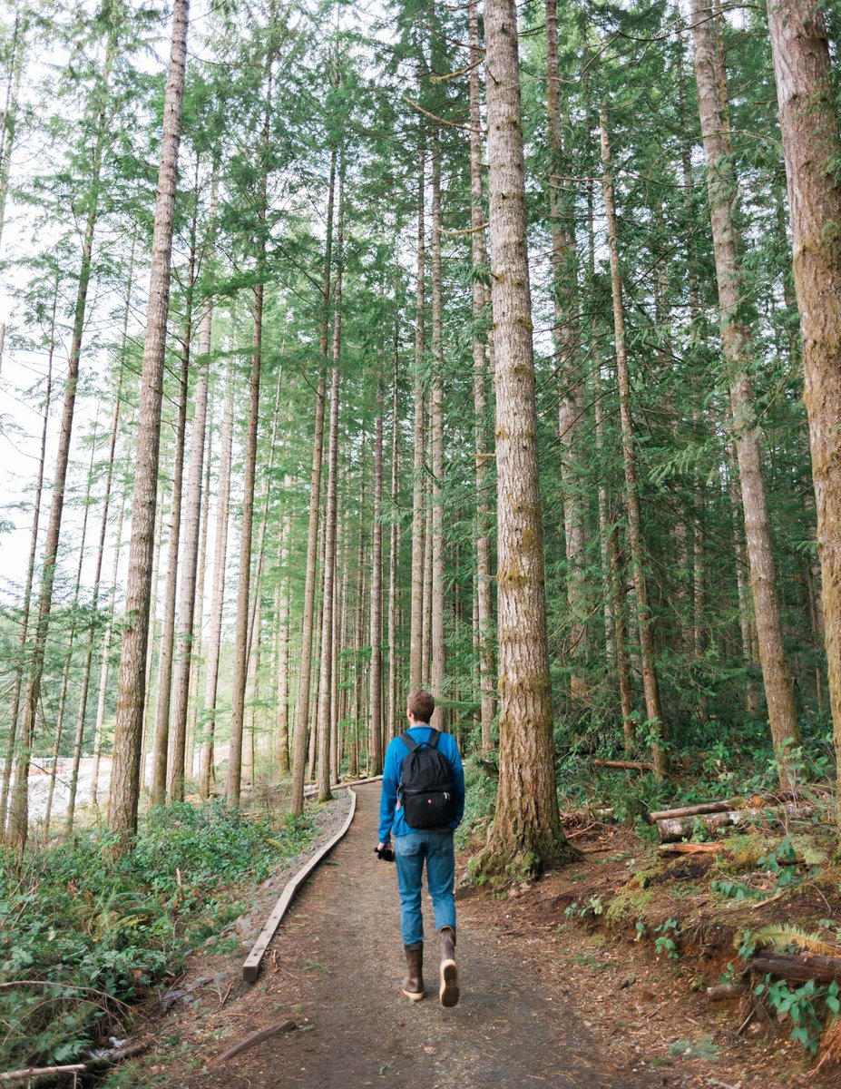 ChaseBurnett's tweet photo. Exploring Vancouver Island https://t.co/DMGFisUXKa
