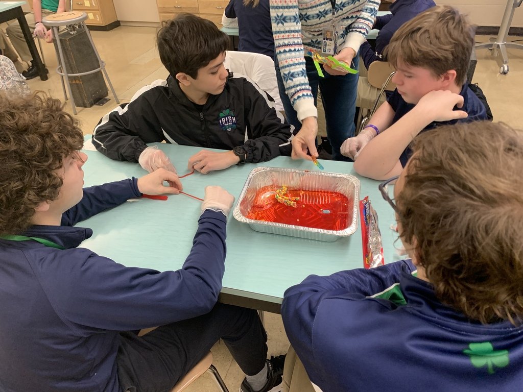 Peoria Notre Dame HS tweet media