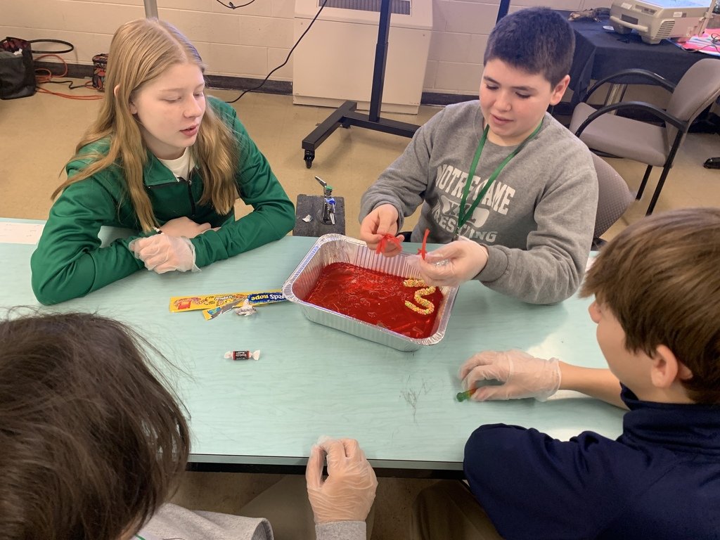 Students in Ms. Bingaman's biology class used sweet treats—gelatin, licorice, gummy worms, and candy—to construct an animal cell.