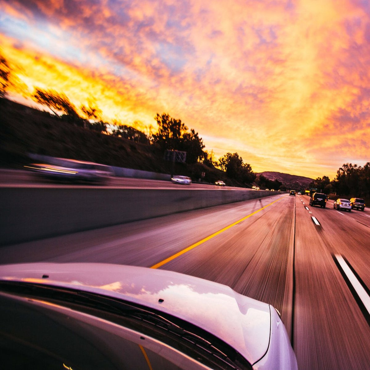 Brownie's Auto tweet media