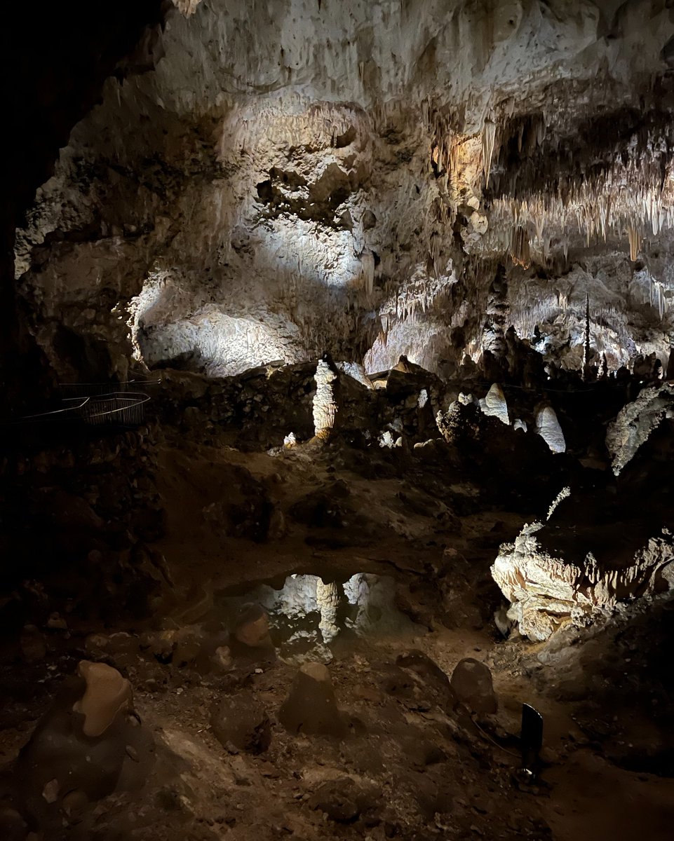 Leave No Trace tweet media