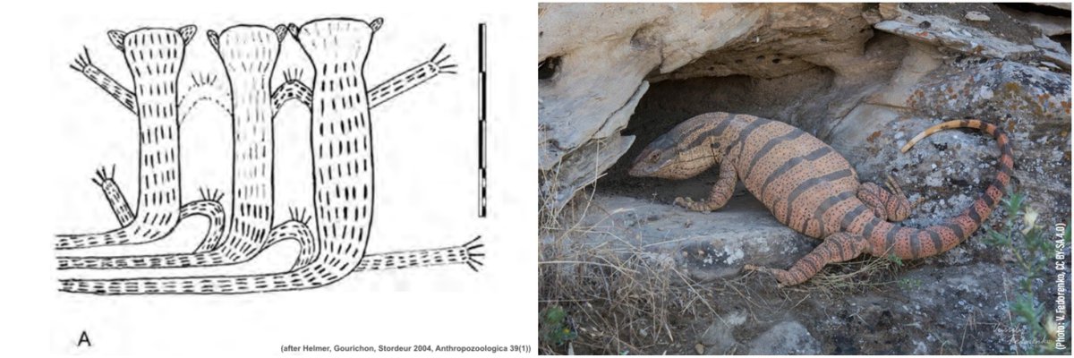 jens2go's tweet photo. Which may challenge an interpretation as #felines.

Could this "fur structure" maybe suggest something different, in particular with a view to the local fauna (here a #DesertMonitor to the right) - and our initial insight into the different perspectives in PPN #iconography? 🤔 https://t.co/AmE0YlyQR8