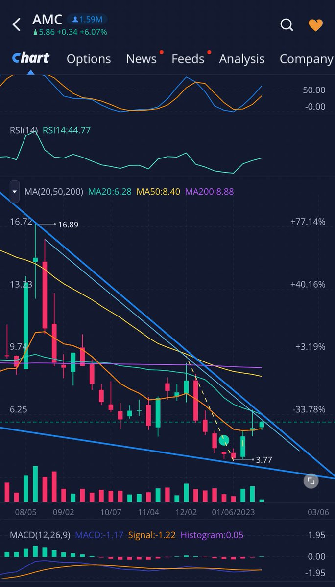 American AF 🇺🇸 tweet media