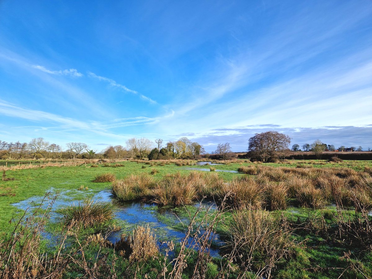 Matt Butcher tweet media