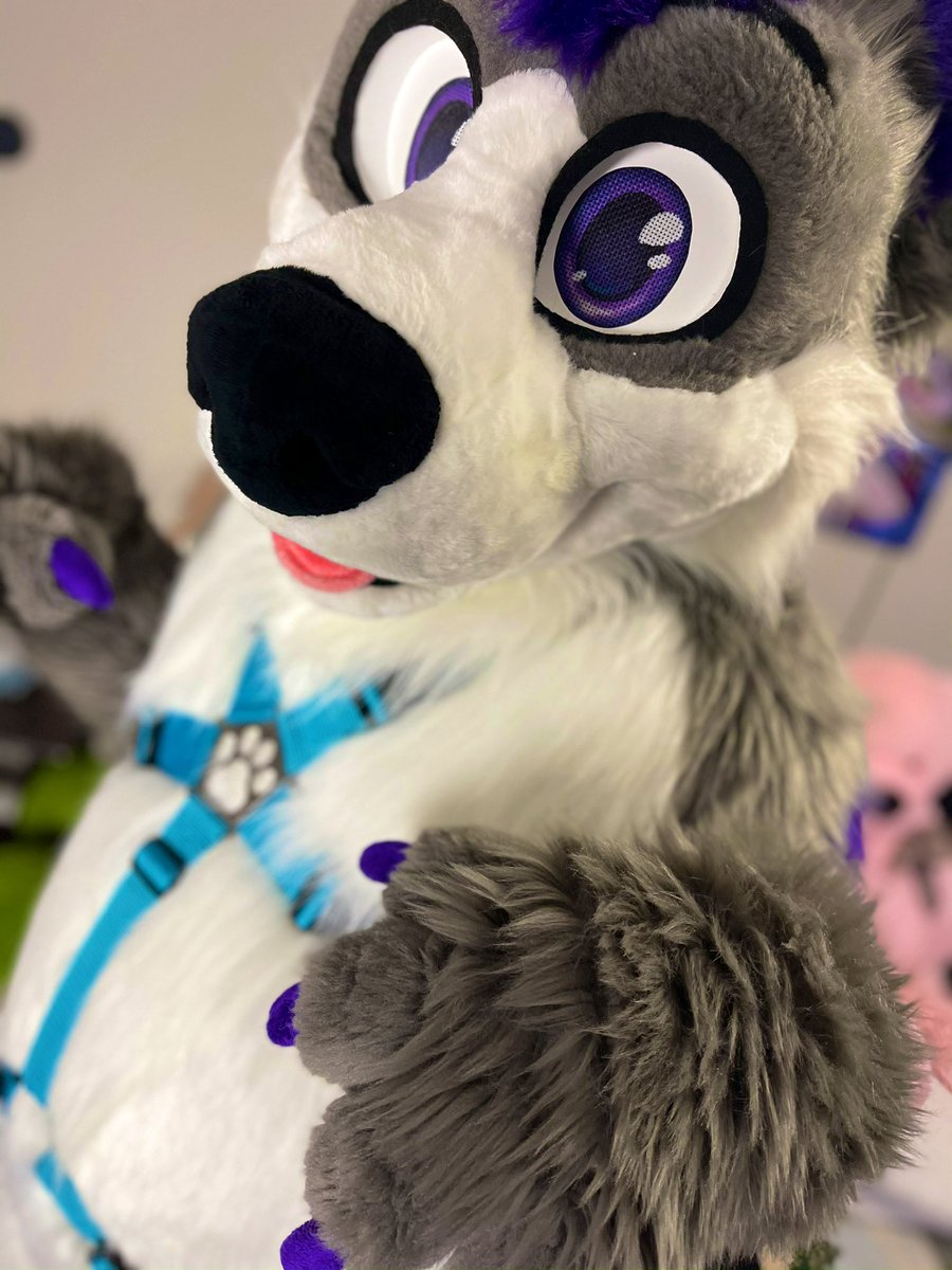 MysteryPaws's tweet photo. No work, only puppy 🐶 https://t.co/ChwuXkgSnY