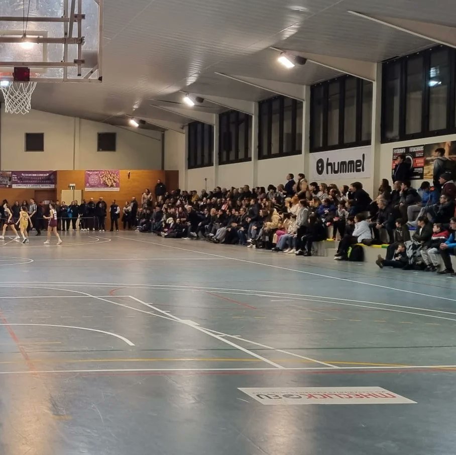 Bàsquet Femení Sant Adrià (FSA) 💜 tweet media